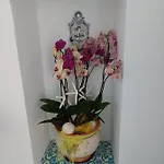 Apartamento La Cupola Blu *