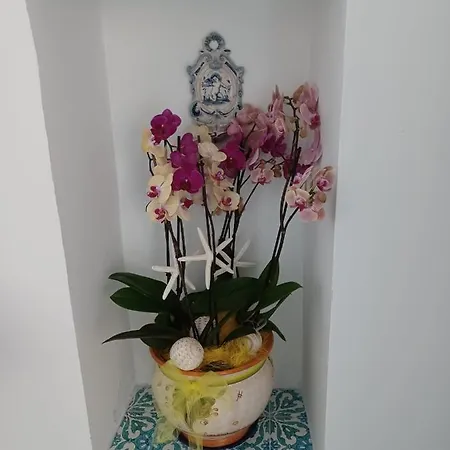 Apartamento La Cupola Blu *